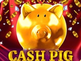 Cash Pig