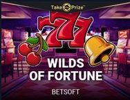 Wilds of Fortune