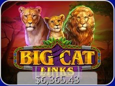 Big Cat Links