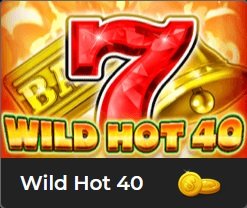 Wild Hot 40