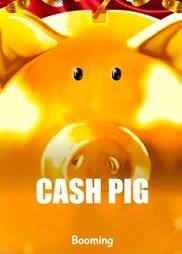 Cash Pig