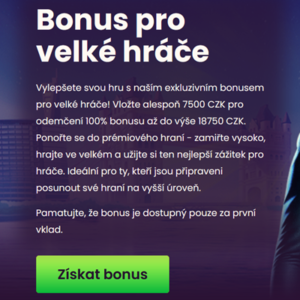 Bizzo Casino bonus pro velké hráče náhled