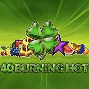 40 Burning Hot logo