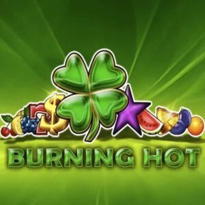 Burning Hot logo