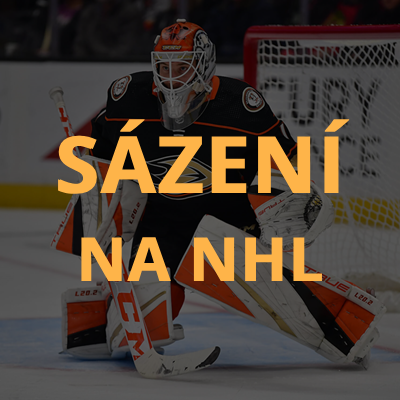 Sázení na NHL